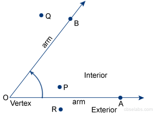 Interior and Exterior of an angle, Special Angles - CBSE Tuts