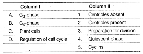 How does a somatic cell that has just completed the s phase of its cell cycle compare in respect to its number of chromosomes and amount of dna with a gamete of the same species?