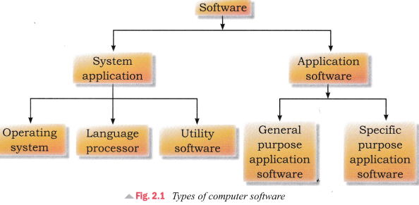 CBSE Notes for Class 5 Computer in Action - Computer Software and its ...