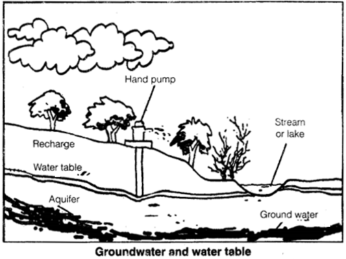 Ncert Solutions For Class 7 Science, What Do You Mean By Water Table Class 7